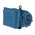 Motor Elétrico IP55 5CV 2 Polos Monofásico 220V - Weg