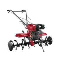 Motocultivador Tratorito Branco BTTD 10 Cv