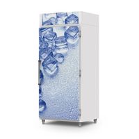 Mini Câmara de Gelo 1100 Litros MCG1100 - Refrimate