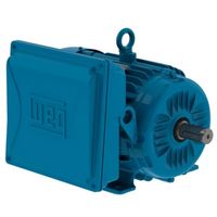Motor Elétrico IP55 Baixa Rotação 3 CV 4 Polos Monofásico Blindado 220V - Weg