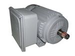 Motor de Baixa Rotação Monofásico 4 Polos 10CV Blindado IP56 - Nova