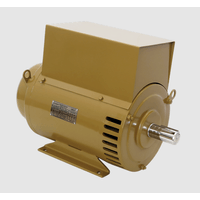 Gerador de Energia Síncrono Trifásico 30 CV 4 Polos Baixa Rotação 220V/380 - Nova