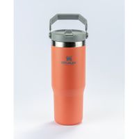 Tumbler Térmico Flip Straw Guava Stanley 887ml