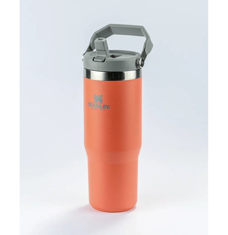 Tumbler Térmico Flip Straw Guava Stanley 887ml