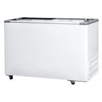 Freezer Horizontal Fricon HCEB411 Tampa De Vidro 411 Litros | 220v