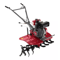 Motocultivador Granja À Diesel Branco BTTD 5.0-800