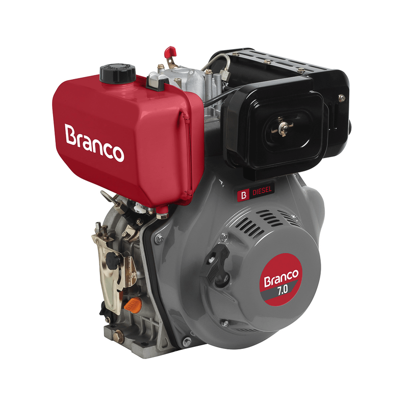 Motor BD 7.0 a Diesel Partida Elétrica 7,0 cv - Branco