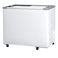 Freezer Horizontal Fricon HCED311-V 311 Litros Branco | 220v