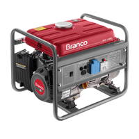 Gerador De Energia a Gasolina Branco 3CV 1.3kva com Partida Manual Monofásico - B4T1300 | 220V