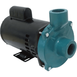 Motobomba Standard Eletroplas 2cv 60Hz ECS-SA200M | Bivolt