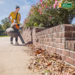 Aspirador e Triturador STIHL à Bateria SHA 56