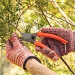 Tesoura de Poda Tramontina para Galhos Verdes Corte Bypass