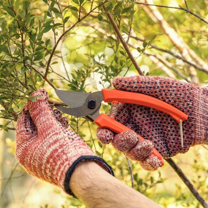 Tesoura de Poda Tramontina para Galhos Verdes Corte Bypass